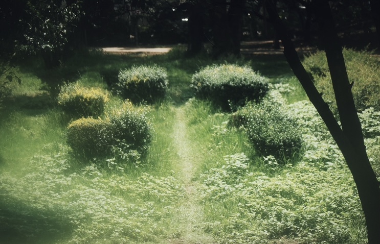 Example image